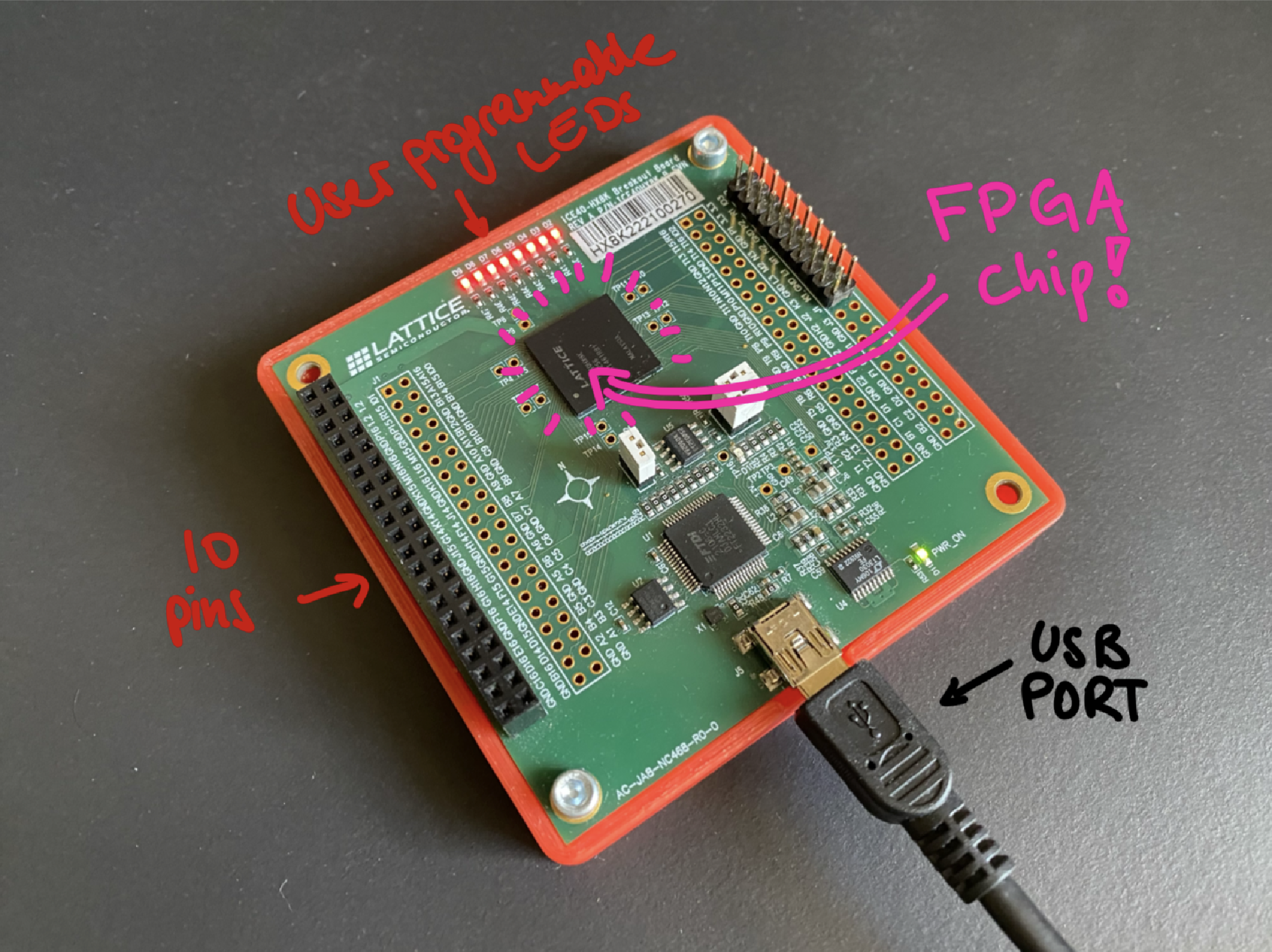 The FPGA board