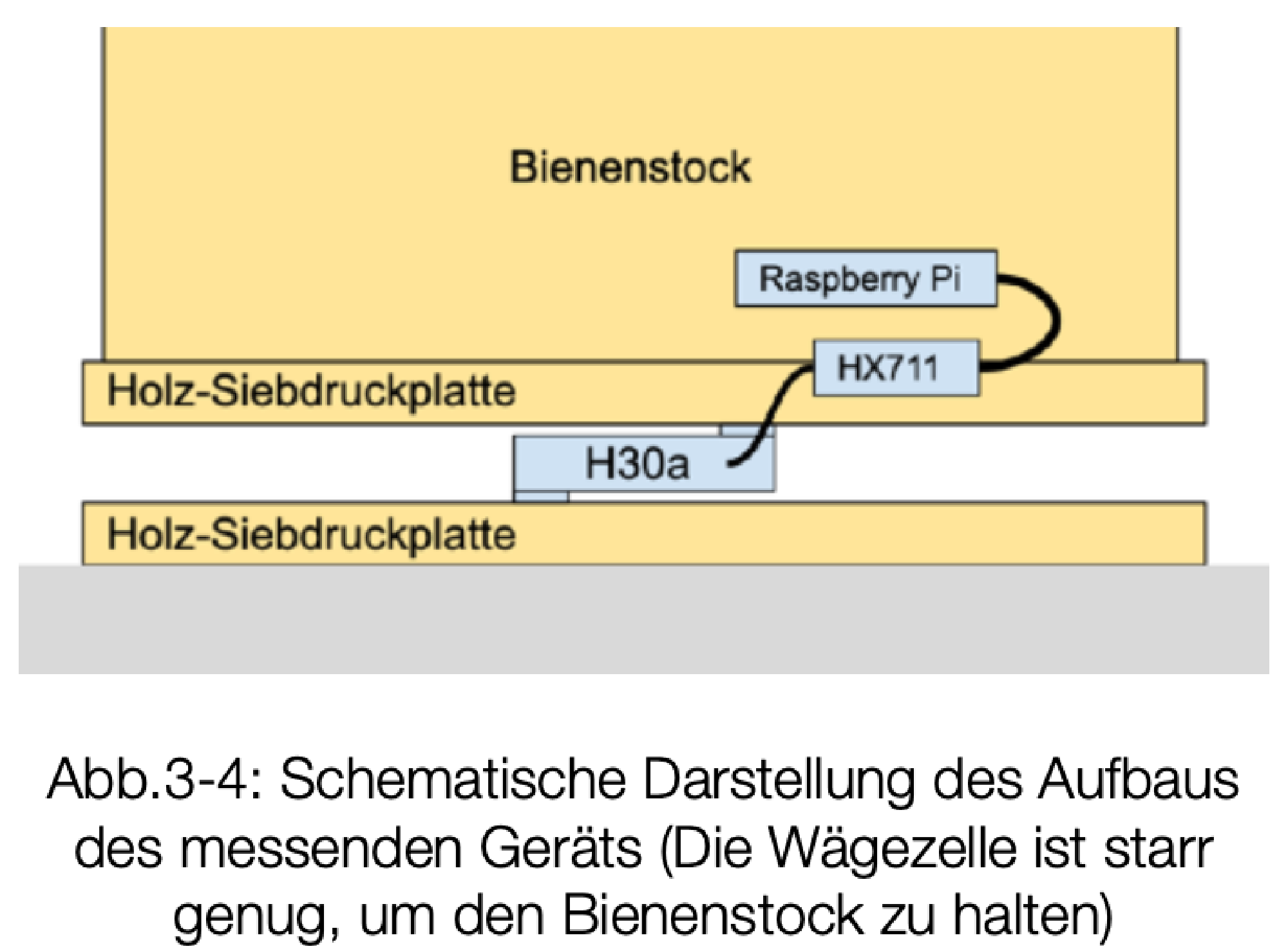 Weight scale setup (screenshot from the high school diploma documentation)