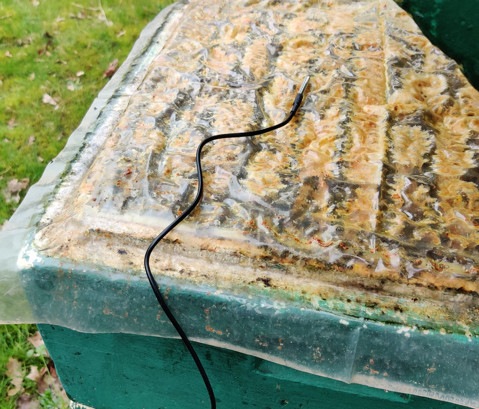 Temperature sensor for the beehive interior